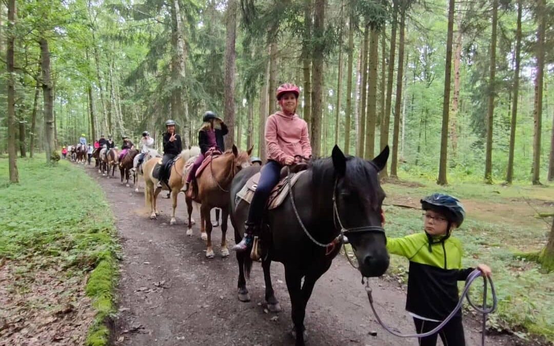 Český ranč - Podzimní tábor s koňmi